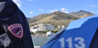 Decentramento delle funzioni relative al rilascio e al rinnovo delle patenti di guida per la conduzione degli autoveicoli in servizio di Polizia. Circolare Polizia Squadra Volante