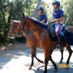 Polizia di Stato, selezione per il 4° corso di abilitazione per maniscalco