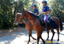 Polizia di Stato, selezione per il 4° corso di abilitazione per maniscalco