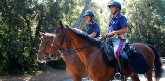Selezione per il 4° corso di abilitazione per maniscalco