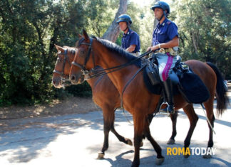 Selezione per il 4° corso di abilitazione per maniscalco