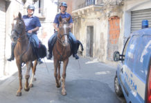 Catania, sbagliata la chiusura dei reparti a cavallo e cinofili
