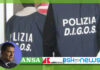 Sicurezza: Pianese (COISP), “Definire Digos ‘polizia politica’ è inaccettabile”. Agenzie stampa