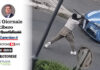 Crotone, poliziotti massacrati con spranghe, uno costretto a profilassi HIV – Rassegna stampa