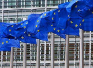 Missione EUSM Lebanon: domande entro il 2 ottobre 2026 Servizio europeo per l'azione esterna